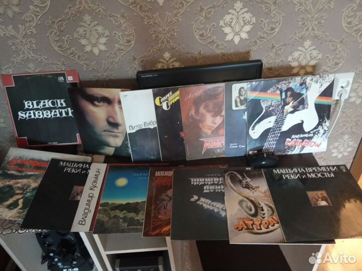 Виниловые пластинки