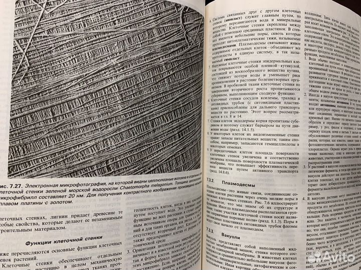 Н.Грин У.Стаут Д.Тейлор Биология 1996
