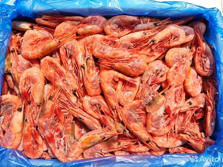 Рыба, Икра, Морепродукты
