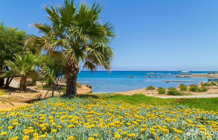 Тур-путешествие на Cyprus от 7 дней