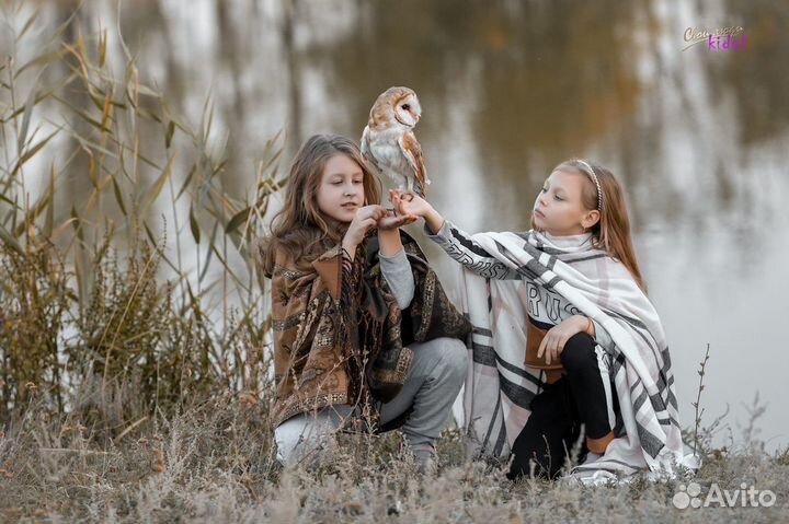 Аниматор с дрессированными животными, фото совы