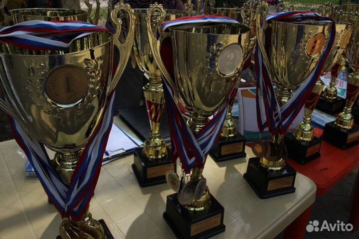 Тренировки по волейболу