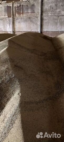 Горчица белая