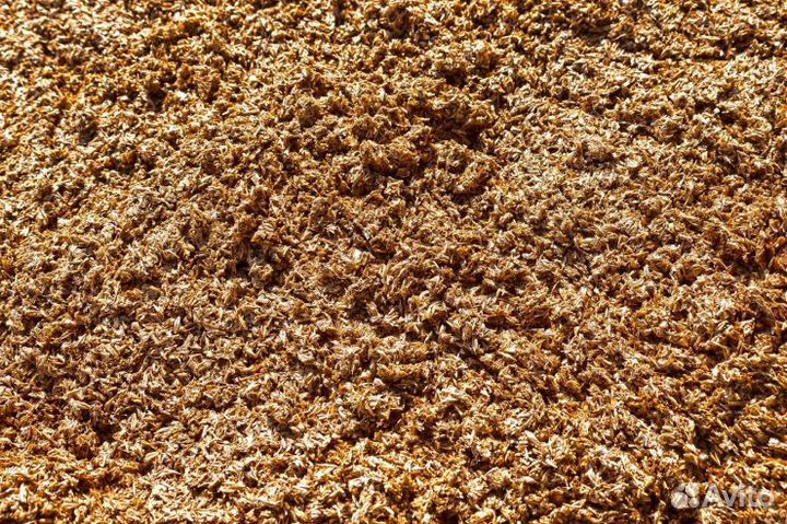 Пивная дробина