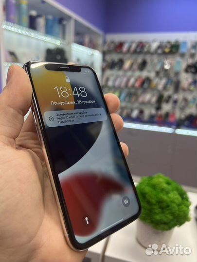 iPhone X, 256 ГБ