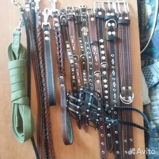Амуниция для собак