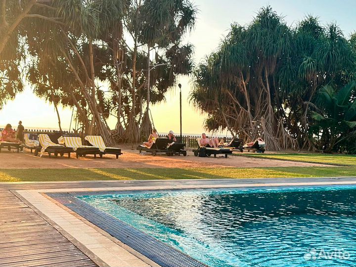 Горящие туры на Шри-Ланку