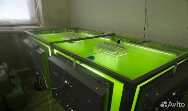 Витаминный и иммунный корм для животных