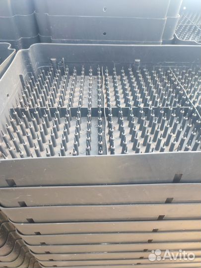 Лотки под выгонка тюльпана гидропоника