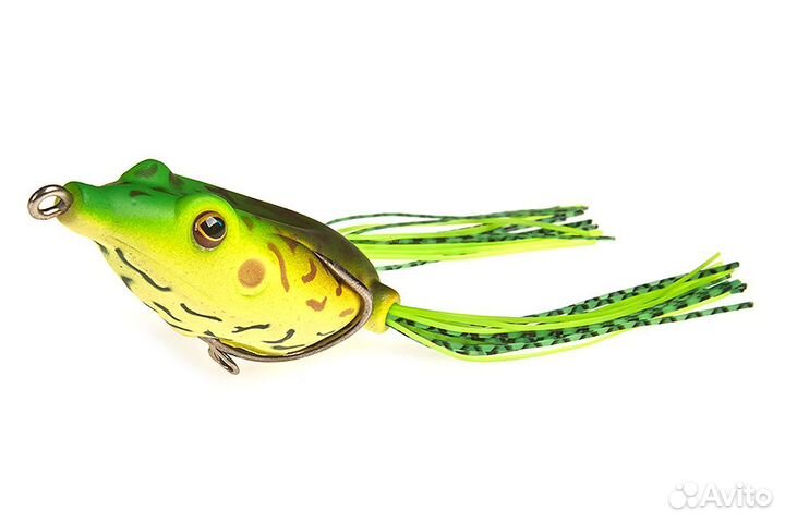 Лягушка kahara Frog