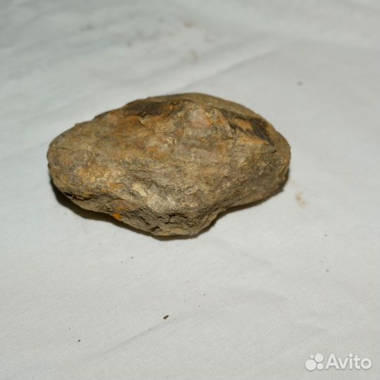 Окаменелости