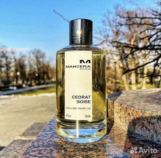 Парфюм для мужчин Cedrat Boise