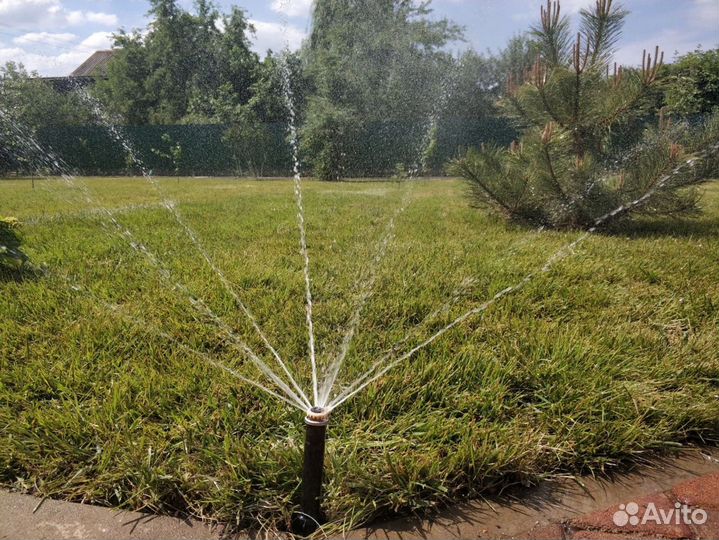 Автополив, система автополива под ключ, газон