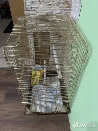 Клетка для большого попугая