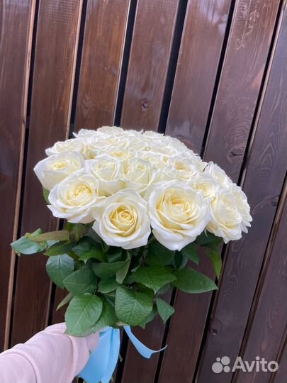 Букет из 25 голландских роз