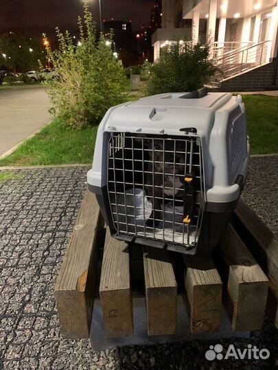 Переноска для собак skudo 3 б/у