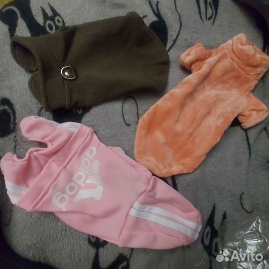 Новая одежда для маленькой собаки xs s