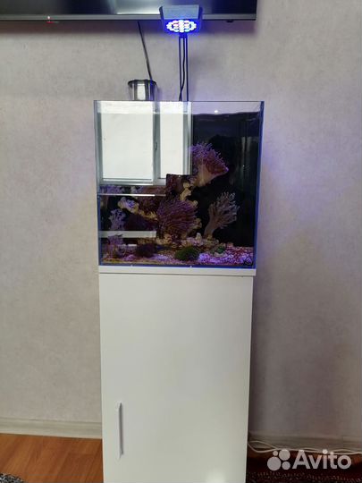 Морской аквариум комплект