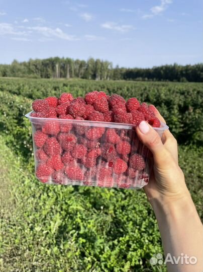 Малина ягоды