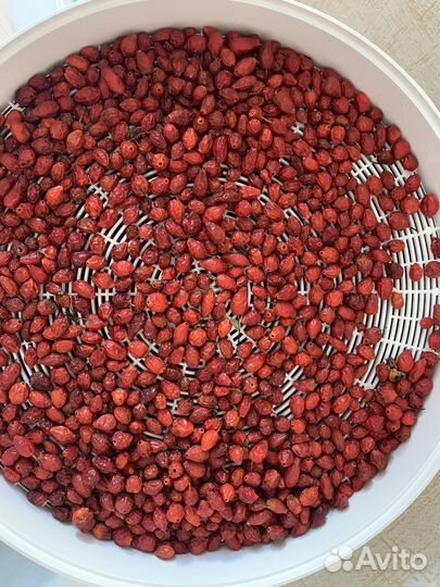 Шиповник сушеный 2024