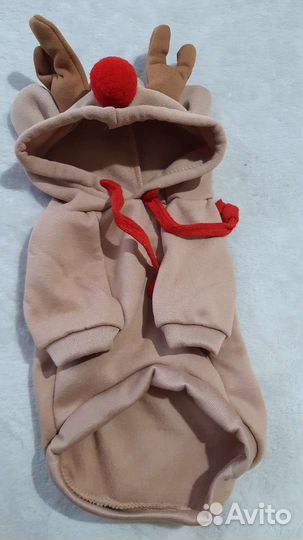 Костюмчик для кошек и мал. собак, р-ры S и М