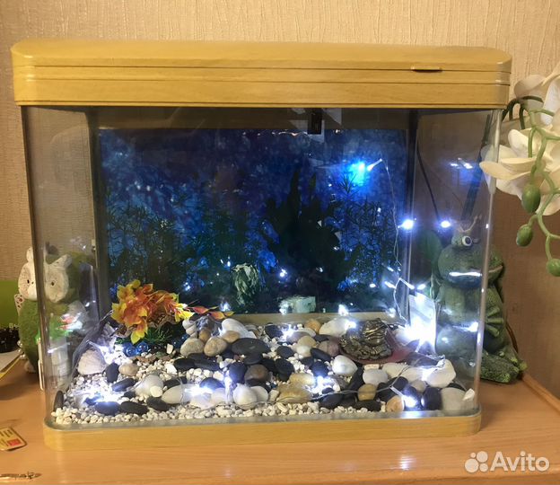 Аквариум