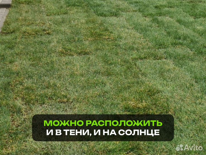 Рулонный газон Элитный. От производителя