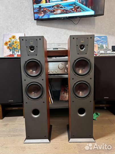 Напольные колонки dali concept 6