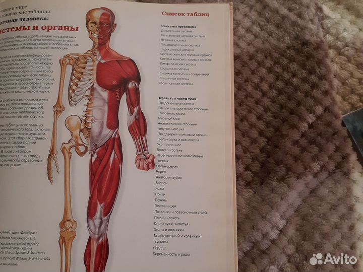 Книга атлас анатомии человека