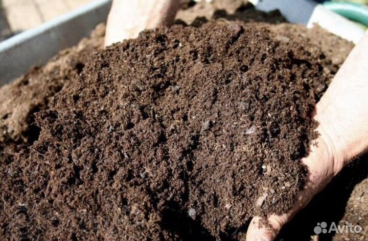 Перегной навоз
