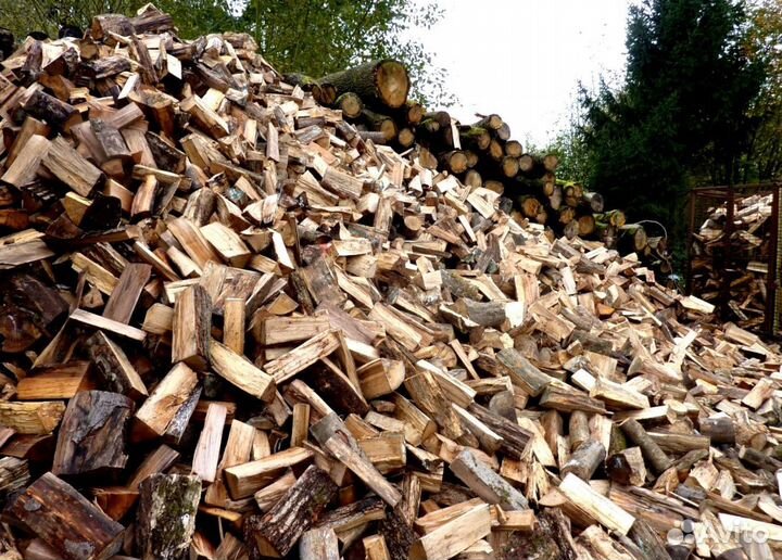 Дрова на выбор