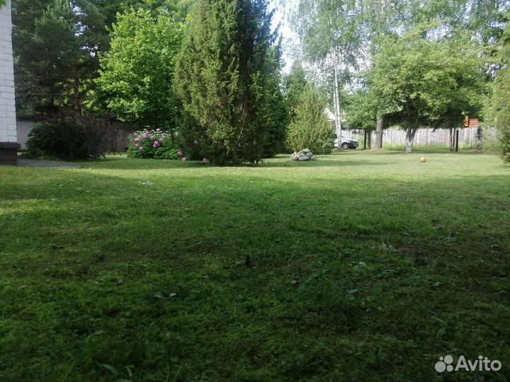 Покос травы триммером