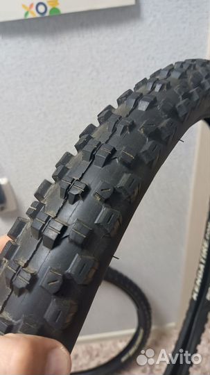 Велопокрышки Kenda Nevegal Sport 27,5х2,35