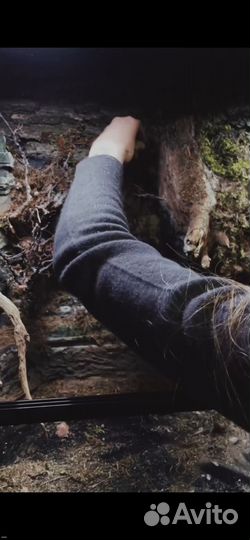 Террариумы, декор