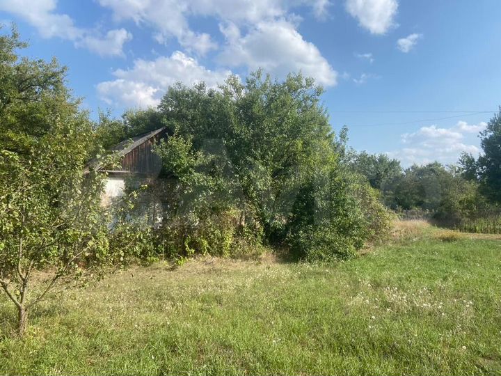 Дом 50 м² на участке 12 сот.