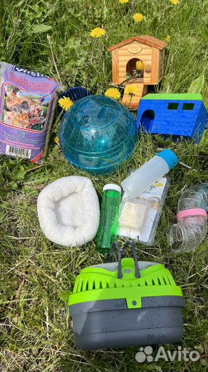 Клетка для белки летяги