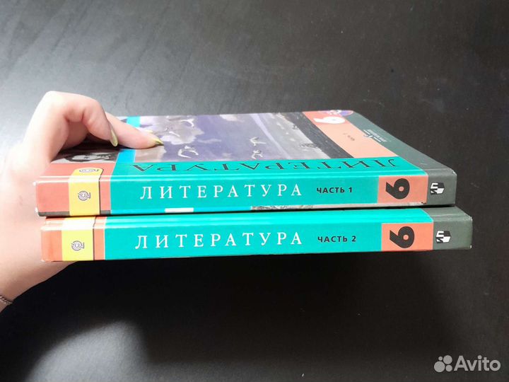 Учебник по литературе за 6 класс первая часть