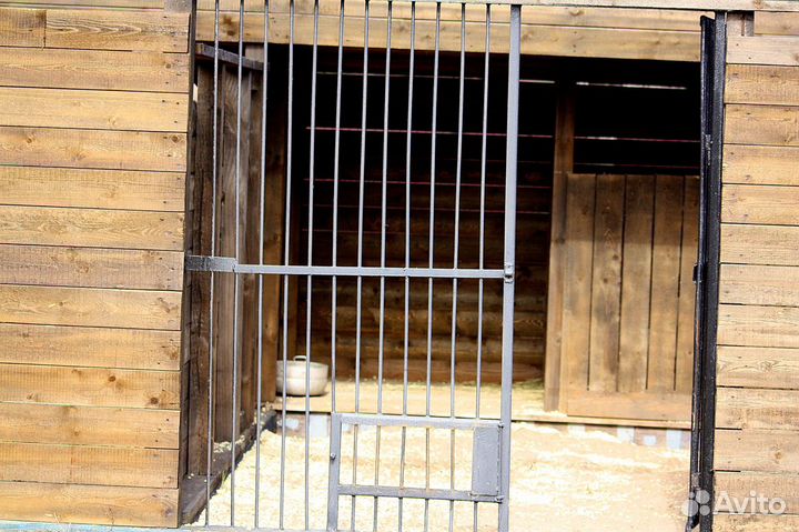 Индивидуальная вольерная передержка для собак