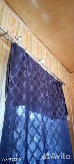 Попугай карелла птенцы