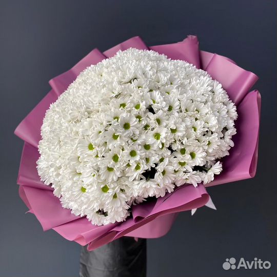 Букеты из Хризантем. Доставка Цветов. Цветы