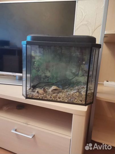 Аквариум