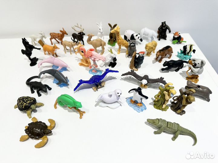 Киндер natoons и natoons maxi продажа/обмен