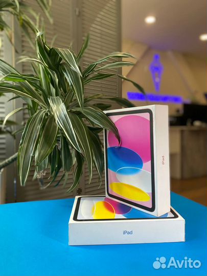 Планшет Apple iPad 10.9 (2022) 256GB Wi-Fi Global