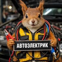 Автоэлектрик, Петропавловск-Камчатский