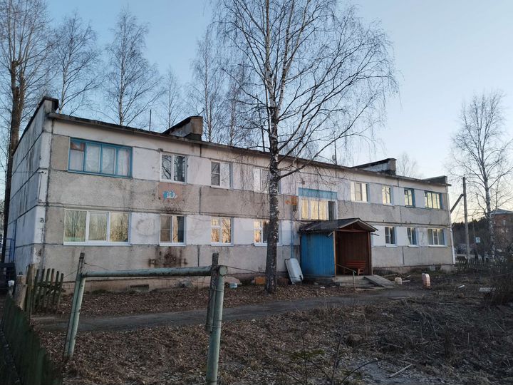 1-к. квартира, 28,7 м², 1/2 эт.
