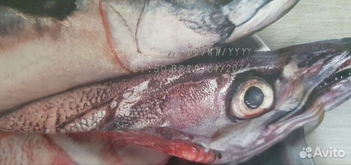 Сухой корм для собак Canagan/Orijen/Akana/Farmina