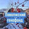 Пользователь