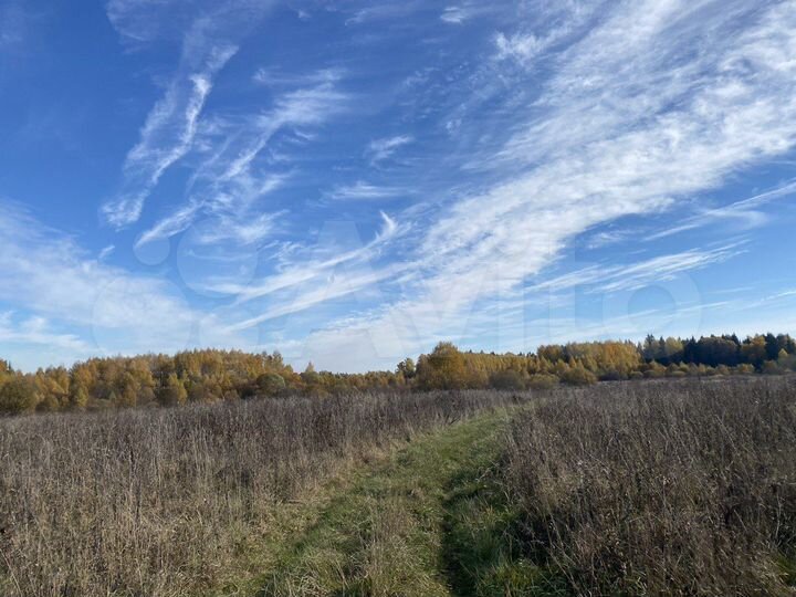 Участок 55,4 га (СНТ, ДНП)