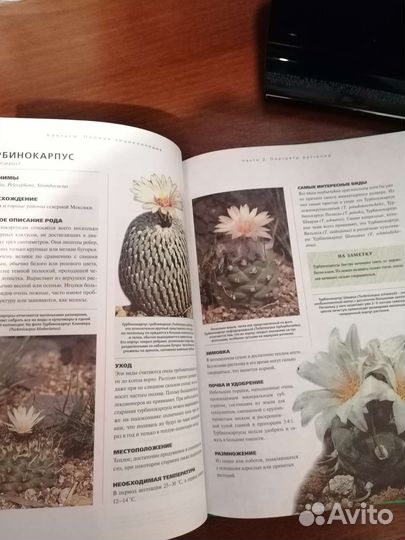 Книги Кактусы, Фиалка, Садовник