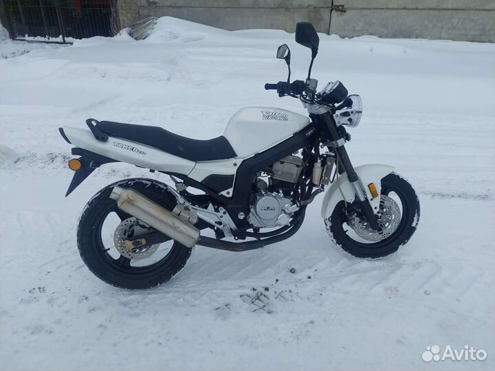 Patron Taker 250 Патрон Такер 250